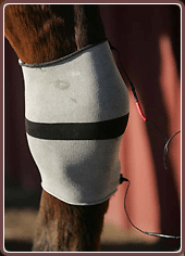 Equine Treatment Equicurrent Dual Silver Sleeve